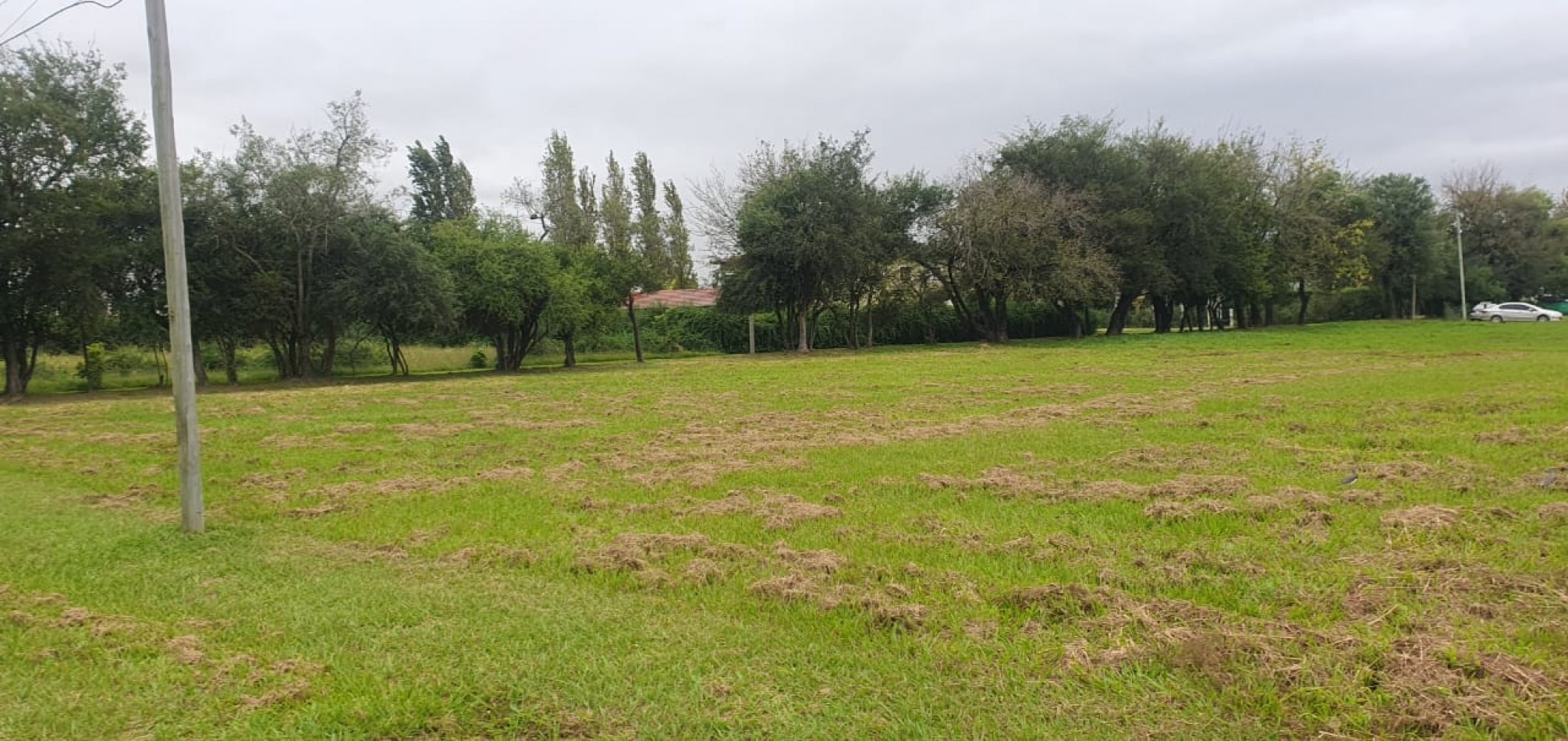 TERRENO EN BARRIO PRIVADO LOS OLMOS (1548,40 M2)