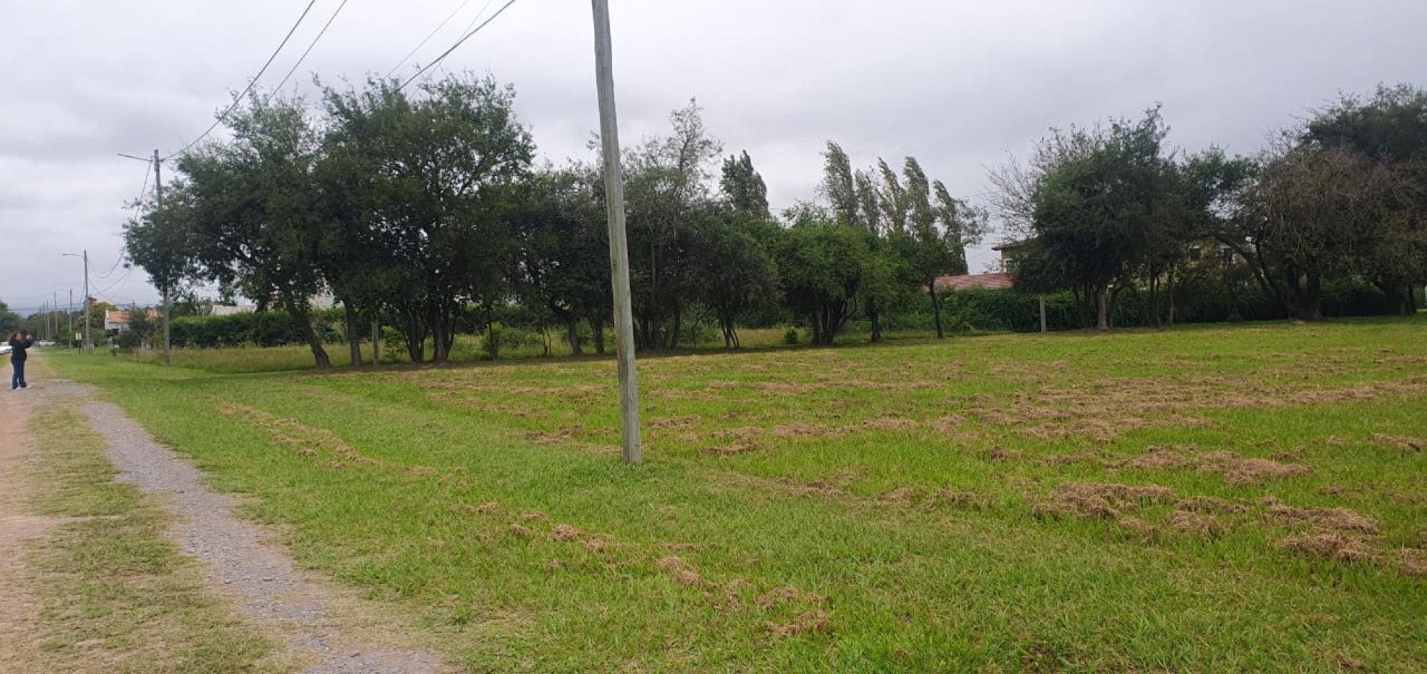 TERRENO EN BARRIO PRIVADO LOS OLMOS (1548,40 M2)