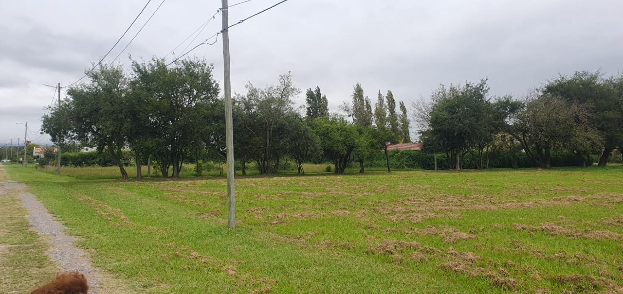 TERRENO EN BARRIO PRIVADO LOS OLMOS (1548,40 M2)